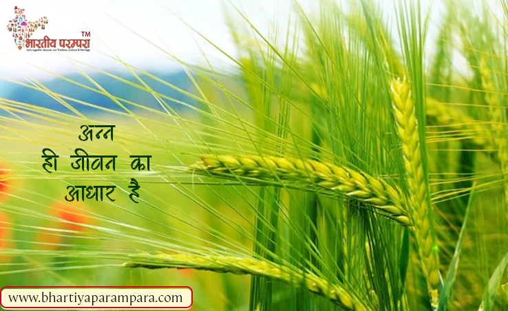 अन्न का दुरुपयोग – दिखावे की संस्कृति में बर्बादी